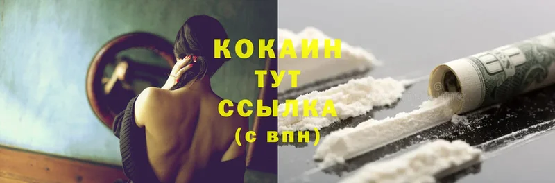 COCAIN Fish Scale Богданович